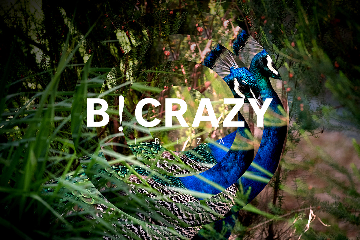 B! Crazy - Richard Robinson Design