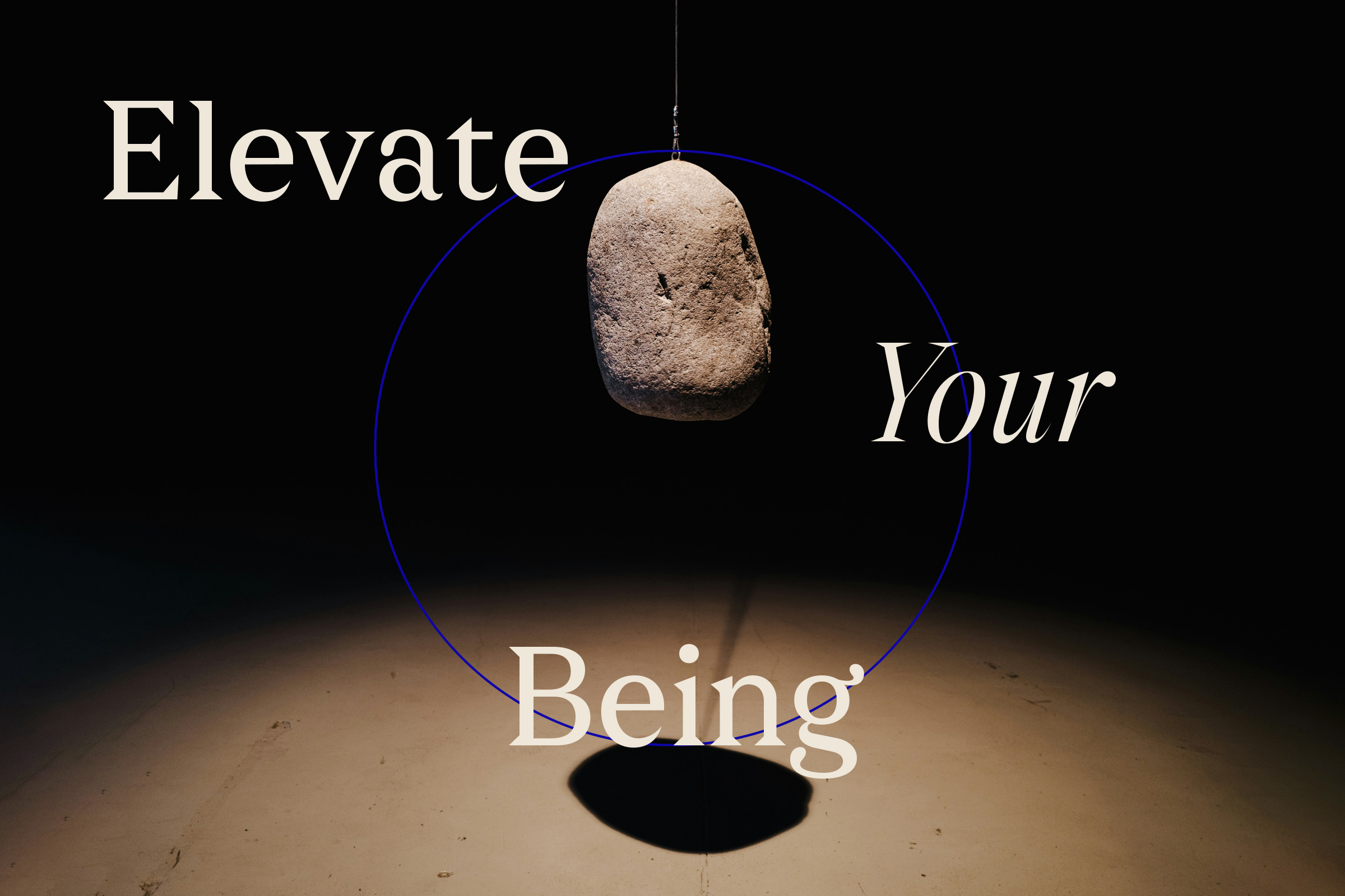 DAMU WEB RR MASTER 10