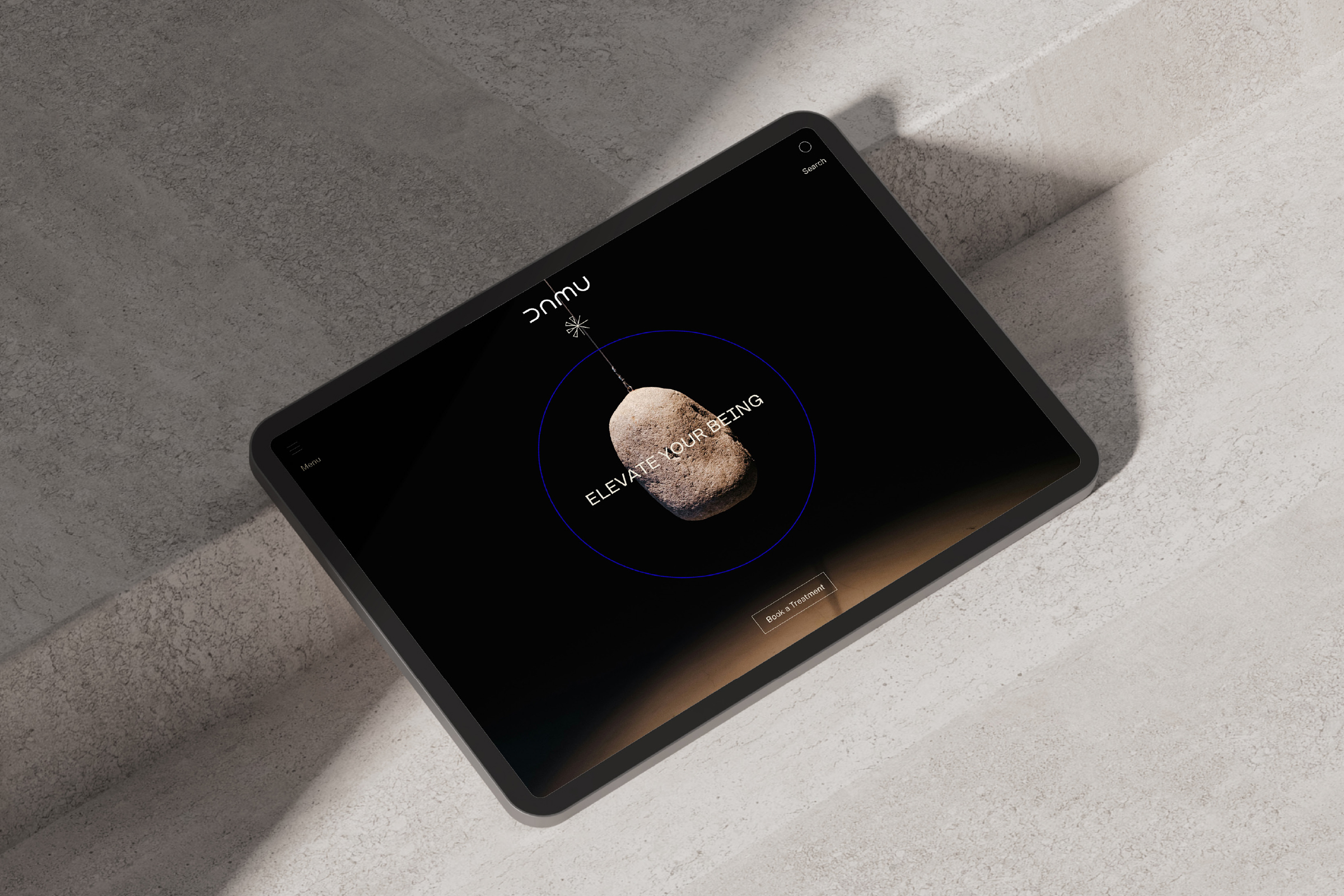 DAMU WEB RR MASTER 2