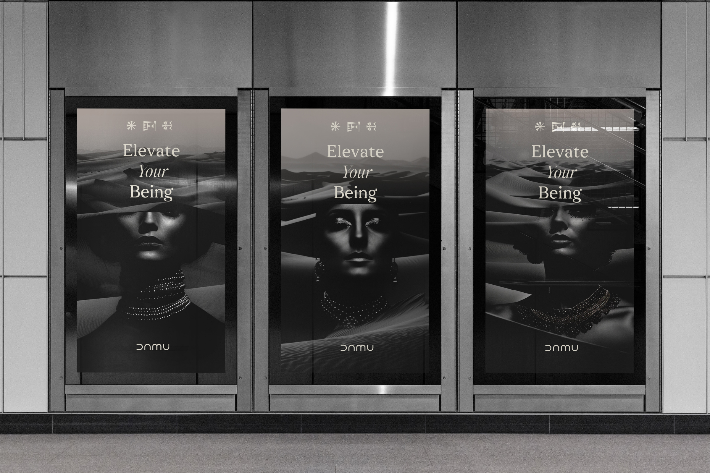 DAMU WEB RR MASTER 5