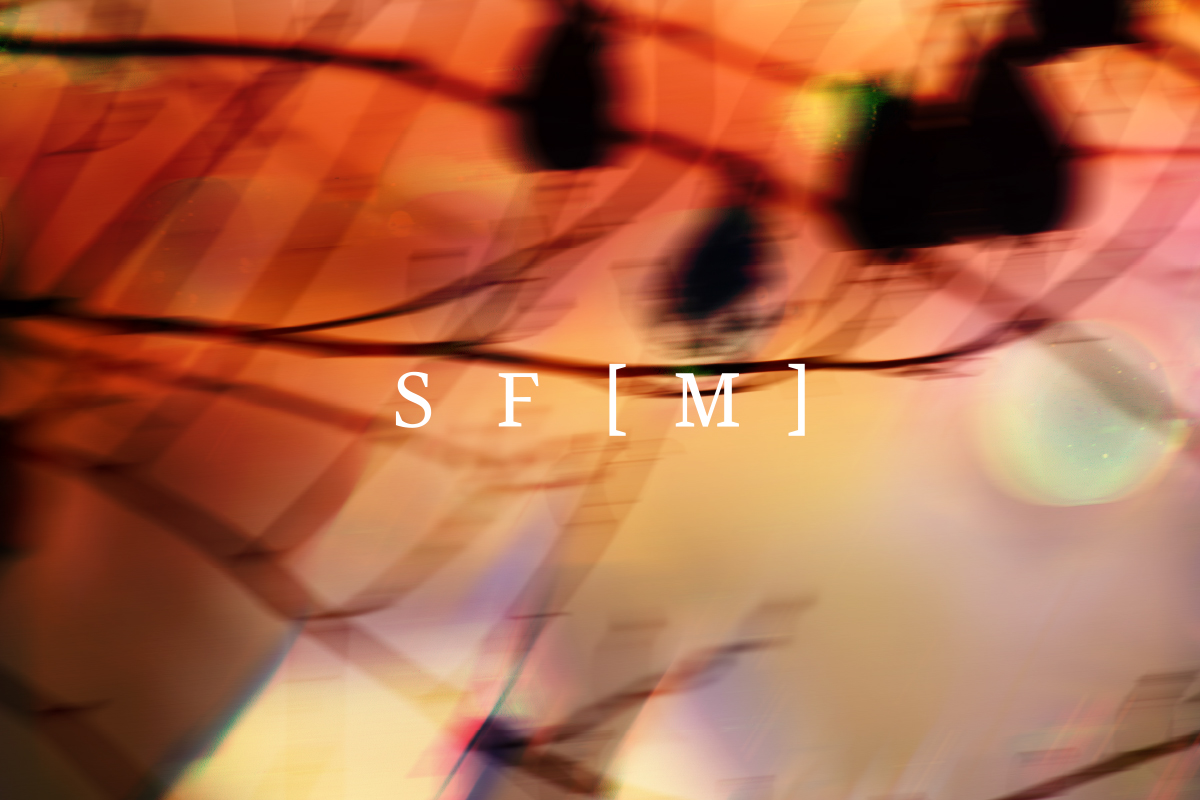 Sfm 1200X800Pxls New 1